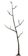 drawing of a dead tree
