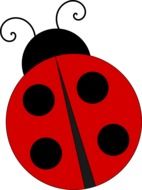 four-point painted ladybug