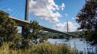 suspension bridge in summer