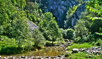 Landscape of the forest and mountains in summer