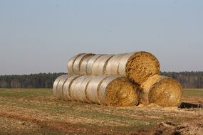 wonderful straw bales