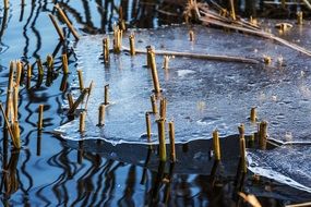 ice winter thaw frost water view