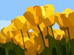 enchanting tulips flower