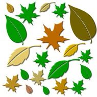 various autumn leaves drawing