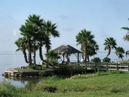 green palms and gazebo on the ocean