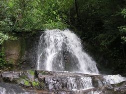 Tennessee mountain waterfall