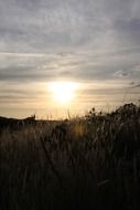 meadow at sunset, spain, castile la mancha