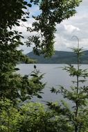 view through the trees on lake loch ness