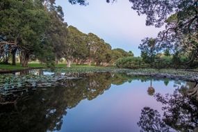 centennial park sydney