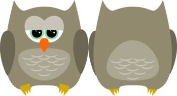Graphics in the form of two gray owls