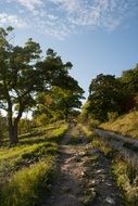 path among green meadows in Moravia