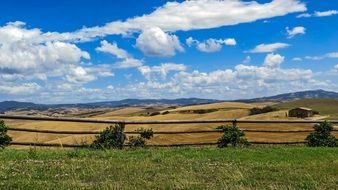 barn on an arable field in Tuscany, Italy