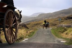 horse carriage in ireland