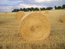 absolutely gorgeous straw bales