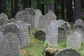 cemetery jewish grave in the forest