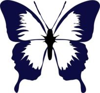 graphic image of the blue butterfly