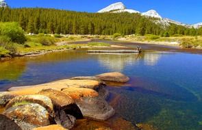 clear stream in view of forest and scenic mountains, usa, california, yosemite national park