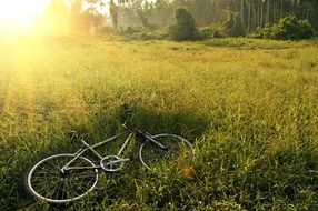 bicycle lies on green grass