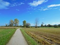 landscape of autumn atmosphere in nature