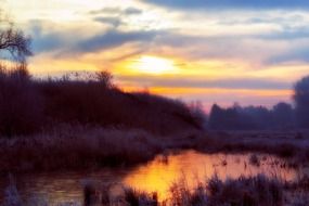 blurry frosty morning