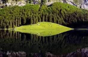 Green seealpsee in nature