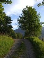 country road in picturesque bavaria