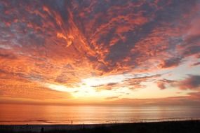colorful florida sunset at ocean