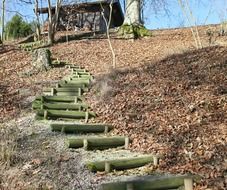 Wooden ladders on a hill