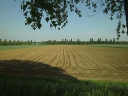 wide harvested field at summer