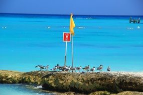 beach with blue flag