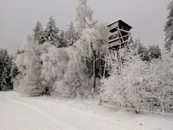 hunter tower in snowy forest