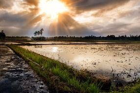 scenic nature of Indonesia at sunset