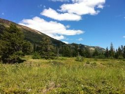 Mountains in Waterton