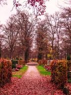 park with flowers in munich