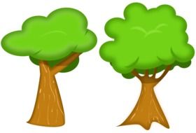 drawings of trees in computer graphics