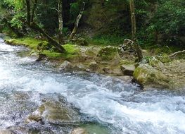 fall of the druise in Drôme France