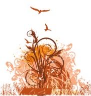 abstract drawing of curlicues