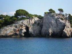 distant view of green trees on a coastal cliff