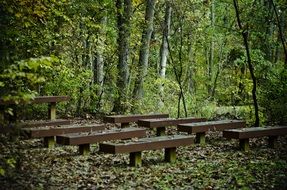 Beautiful wooden benches in the beautiful forest