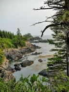 scenic nature in british columbia