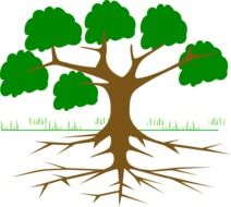 tree drawing with roots and green crowns