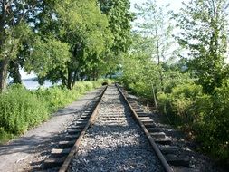 landscape of railway among green plants