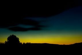 twilight, dark trees at colorful sky