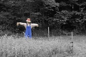 scarecrow in garden flowers