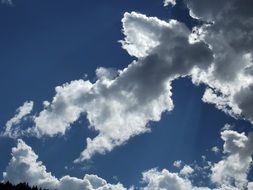 White clouds in the blue sky in the sunlight