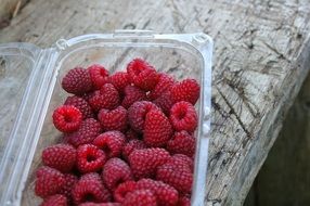 Raspberries in a plastic box
