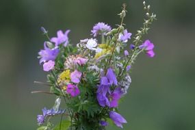 photo of a bouquet of wildflowers on a muddy background