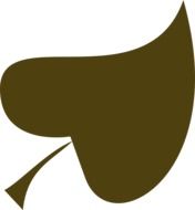 dark green leaf as a graphic image