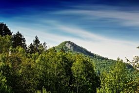 Landscape of green hill and forest