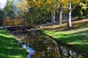 bridge under river trees park grass